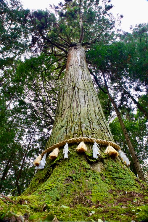 火の粉に泣いたソロキャンプ TAKIBIYA camp field ソロキャンプ 区画サイト yoshiさんのキャンプブログ CAMPiii（キャンピー） -キャンプ専用SNS キャンプのすべてがここに集まる-