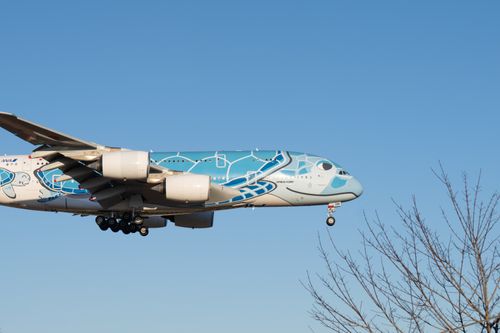 全国旅キャンプ第12弾は青森編 ENJOY THE OUTDOORSさんのキャンプブログ CAMPiii（キャンピー） -キャンプ専用SNS キャンプのすべてがここに集まる-