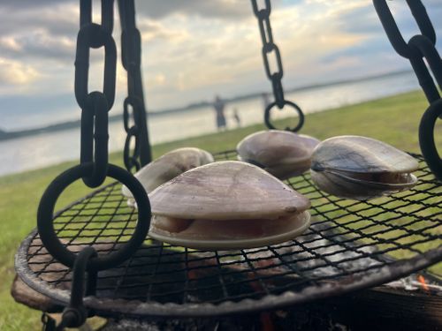 台風直後は暑い暑い💦 親沢公園キャンプ場 ソロキャンプ フリーサイト まっつんさんのキャンプブログ CAMPiii(キャンピー) -キャンプ専用SNS キャンプのすべてがここに集まる-