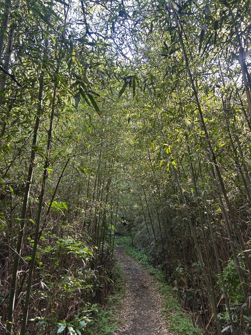 前日宅呑み中🍺思いたっての低山ハイク🥾 大楠山 ソロキャンプ Genさんのキャンプブログ CAMPiii（キャンピー） -キャンプ専用SNS キャンプのすべてがここに集まる-