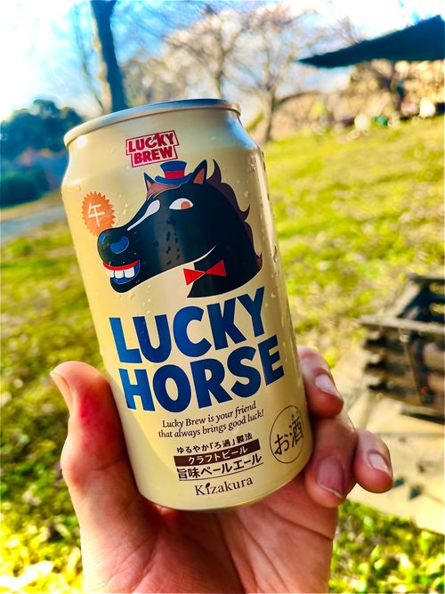 2025-2026 最初で最期の城跡エリア年越グルキャン△ in 下関市串崎城跡 〜 CAMP NO.169 関見台公園 ソロキャンプ ファミリーキャンプ グループキャンプ 区画サイト おじキャン△さんのキャンプブログ CAMPiii（キャンピー） -キャンプ専用SNS キャンプのすべてがここに集まる-