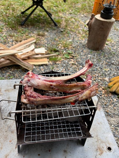 完ソロキャンプ ナラ入沢渓流釣りキャンプ場 ソロキャンプ オートサイト すずしょうさんのキャンプブログ CAMPiii（キャンピー） -キャンプ専用SNS キャンプのすべてがここに集まる-