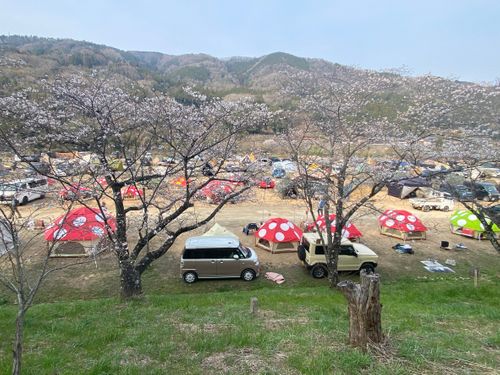 第16回キノコ会 笠置キャンプ場 グループキャンプ フリーサイト KINOKO_MUSTANGさんのキャンプブログ CAMPiii（キャンピー） -キャンプ専用SNS キャンプのすべてがここに集まる-