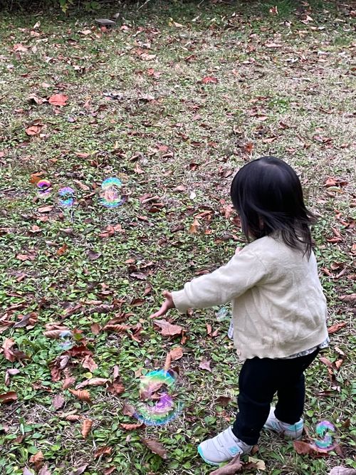 限りなく透明な空気を紅葉最盛期のブナの森で 休暇村乳頭温泉郷キャンプ場 ファミリーキャンプ フリーサイト ロコCamp0828さんのキャンプブログ CAMPiii（キャンピー） -キャンプ専用SNS キャンプのすべてがここに集まる-