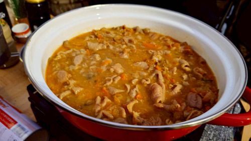 恒例の新春ファミキャン！ THE DOG DEPT GARDEN RESORT-安房白浜- ファミリーキャンプ グループキャンプ 区画サイト まーささんのキャンプブログ CAMPiii（キャンピー） -キャンプ専用SNS キャンプのすべてがここに集まる-