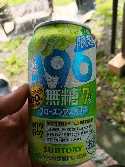 デリカミニ de W杯見ながらの軍幕キャンプ 角田大橋河川敷 ソロキャンプ フリーサイト 区画サイト ウエィダーさんのキャンプブログ CAMPiii（キャンピー） -キャンプ専用SNS キャンプのすべてがここに集まる-
