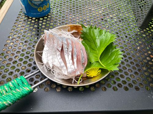 サクッと充電。🪫➡️🔋 柳原親水広場 FUNEさんのキャンプブログ CAMPiii（キャンピー） -キャンプ専用SNS キャンプのすべてがここに集まる-