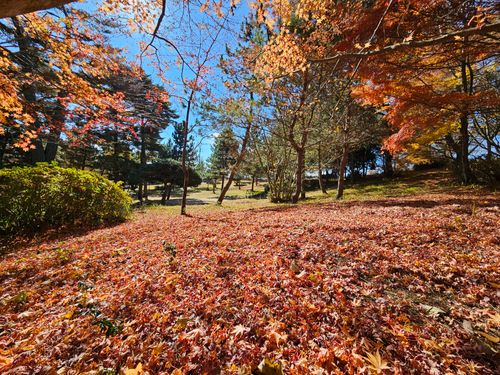 雲海キャンプ2025⑤は第8回SBCMT♪ 神石高原 ティアガルテン グループキャンプ フリーサイト 三代目とっしぃさんのキャンプブログ CAMPiii（キャンピー） -キャンプ専用SNS キャンプのすべてがここに集まる-