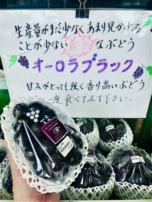 『キャンプは心の栄養よ❤️』お疲れのおじおばうさキャン△ in かじかじテラスCAMPFIELD 〜　CAMP NO.153 かじかじテラスcampfield ファミリーキャンプ グループキャンプ 区画サイト おじキャン△さんのキャンプブログ CAMPiii（キャンピー） -キャンプ専用SNS キャンプのすべてがここに集まる-