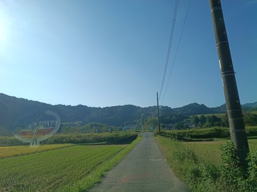スポーツの日(アウトドア) 角田大橋河川敷 ソロキャンプ フリーサイト ウエィダーさんのキャンプブログ CAMPiii（キャンピー） -キャンプ専用SNS キャンプのすべてがここに集まる-