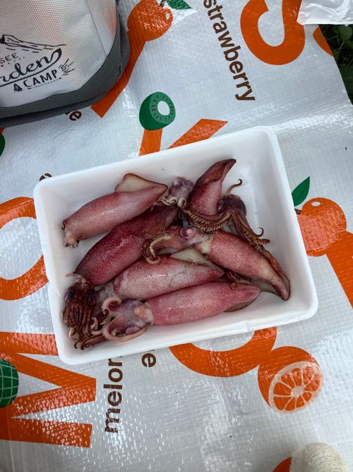 Vol.114 26/NO.04 お花見しながらお肉焼くぅ‼️ 坂戸市 ソロキャンプ フリーサイト 🔥焚き火🔥さんのキャンプブログ CAMPiii（キャンピー） -キャンプ専用SNS キャンプのすべてがここに集まる-