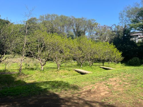 横浜でキャンプ🏕️ 自然館泉ベリーキャンプ場 ソロキャンプ 区画サイト よスさんのキャンプブログ CAMPiii（キャンピー） -キャンプ専用SNS キャンプのすべてがここに集まる-