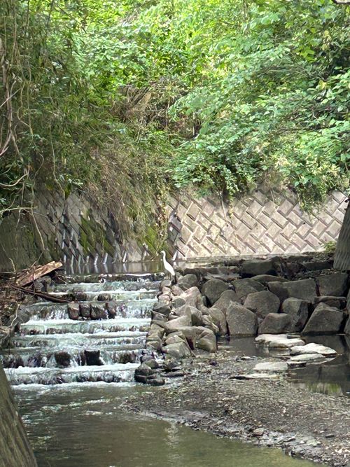 前日宅呑み中🍺思いたっての低山ハイク🥾 大楠山 ソロキャンプ Genさんのキャンプブログ CAMPiii（キャンピー） -キャンプ専用SNS キャンプのすべてがここに集まる-