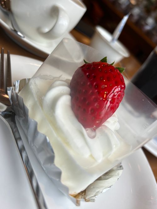 きのこ🍄だからって，決してシモネタではございません ぼくのキャンプ場はなれ ソロキャンプ オートサイト とのさんのキャンプブログ CAMPiii（キャンピー） -キャンプ専用SNS キャンプのすべてがここに集まる-