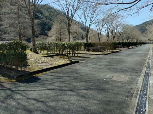 新幕デビューin白鳥の湖🏕️ ふれあいパーク大原湖 ソロキャンプ 区画サイト ＪＩＭＭＹさんのキャンプブログ CAMPiii（キャンピー） -キャンプ専用SNS キャンプのすべてがここに集まる-