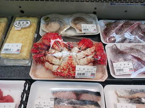 北海道の旨い!を食べるC△mp旅’2025(2 of 4) 北海道 ファミリーキャンプ キャンピングカー vios outdoor'sさんのキャンプブログ CAMPiii(キャンピー) -キャンプ専用SNS キャンプのすべてがここに集まる-