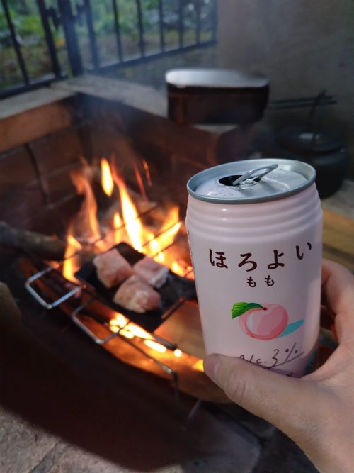 森林浴でボーっとするキャンプ うまみち森林公園 ソロキャンプ 区画サイト セツさんのキャンプブログ CAMPiii(キャンピー) -キャンプ専用SNS キャンプのすべてがここに集まる-