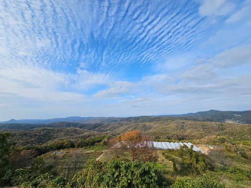 雲海キャンプ➃は雨☔ 花の駅せら オートキャンプ場 ソロキャンプ 区画サイト オートサイト 三代目とっしぃさんのキャンプブログ CAMPiii（キャンピー） -キャンプ専用SNS キャンプのすべてがここに集まる-