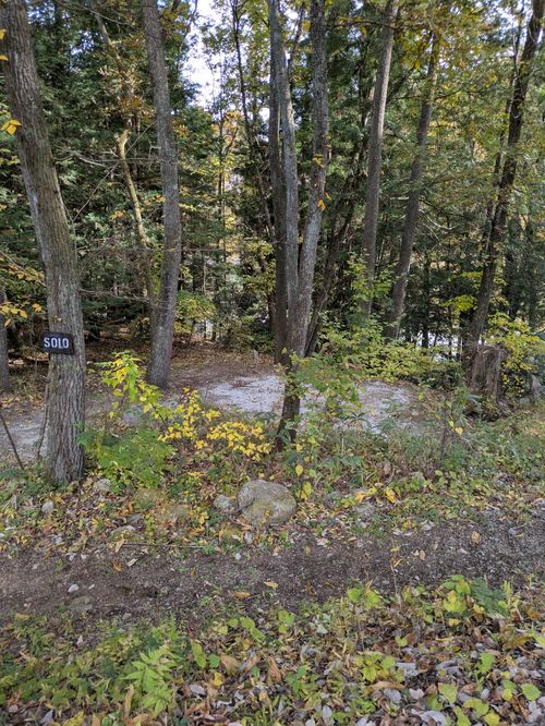 尾白川方面にキャンプ場新規開拓 Life outdoor garden ソロキャンプ 区画サイト アニさんのキャンプブログ CAMPiii（キャンピー） -キャンプ専用SNS キャンプのすべてがここに集まる-