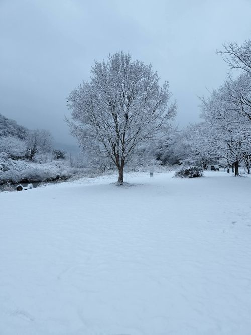 親子軍幕Session   角田大橋河川敷 ファミリーキャンプ フリーサイト ウエィダーさんのキャンプブログ CAMPiii（キャンピー） -キャンプ専用SNS キャンプのすべてがここに集まる-