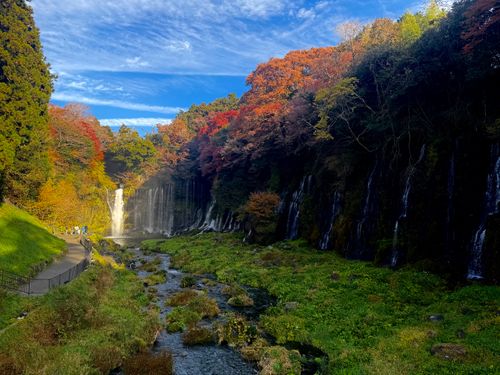 今月2回目⛺️今回も天気に恵まれて最高 ふもとっぱらキャンプ場 ソロキャンプ フリーサイト OYAKATAさんのキャンプブログ CAMPiii（キャンピー） -キャンプ専用SNS キャンプのすべてがここに集まる-
