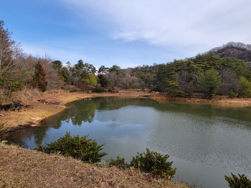 初亀島 亀島キャンプ場 グループキャンプ れいさんのキャンプブログ CAMPiii（キャンピー） -キャンプ専用SNS キャンプのすべてがここに集まる-
