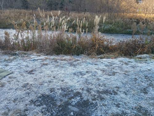 氷点下  軍幕キャンプ 角田大橋河川敷 ソロキャンプ フリーサイト ウエィダーさんのキャンプブログ CAMPiii（キャンピー） -キャンプ専用SNS キャンプのすべてがここに集まる-