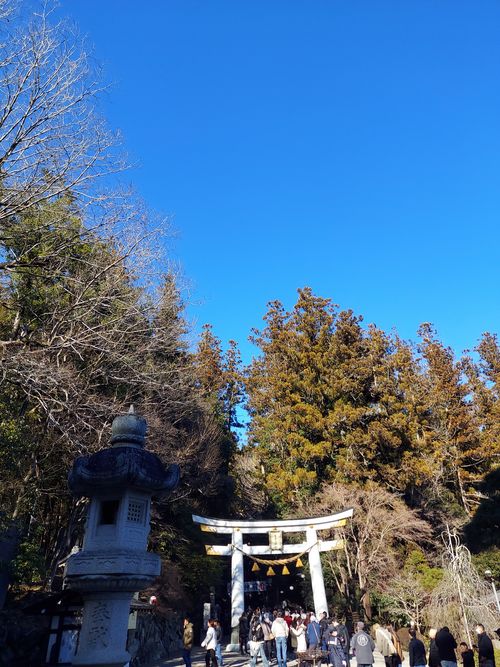 明けましておめでとうございます🎍年越しで狼さんに会いに行ったけどちとヘコんだキャンプ⛺ フォレストサンズ長瀞 ソロキャンプ 区画サイト ひろ16さんのキャンプブログ CAMPiii（キャンピー） -キャンプ専用SNS キャンプのすべてがここに集まる-