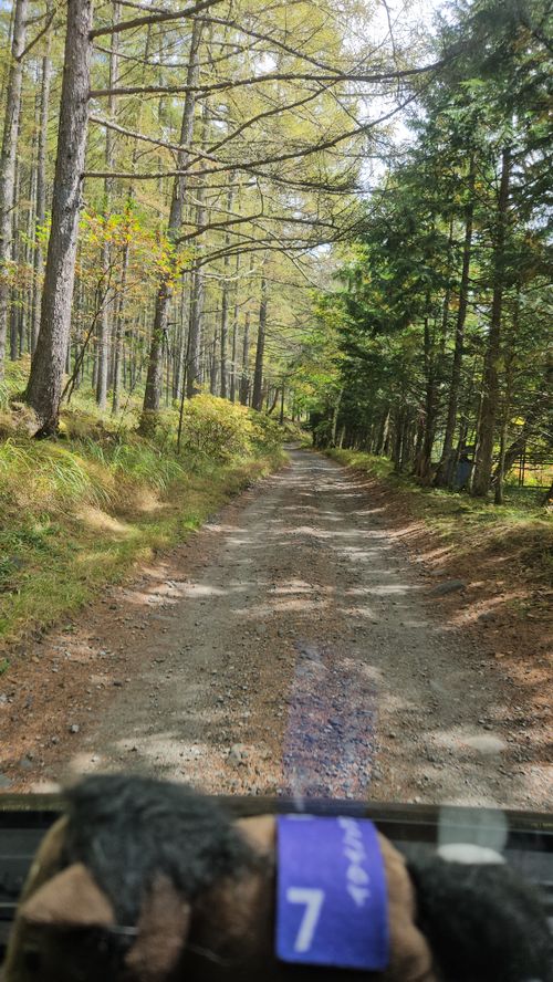 その後 日本 ソロキャンプ グループキャンプ 区画サイト フリーサイト オートサイト IZUIZUさんのキャンプブログ CAMPiii（キャンピー） -キャンプ専用SNS キャンプのすべてがここに集まる-