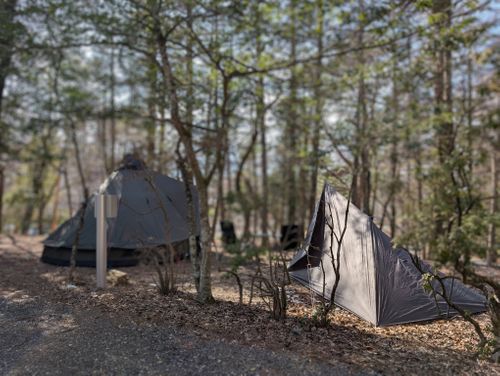 静寂な森のなかで(前篇) 小田急山中湖フォレストコテージ ファミリーキャンプ 好々爺🇯🇵さんのキャンプブログ CAMPiii（キャンピー） -キャンプ専用SNS キャンプのすべてがここに集まる-
