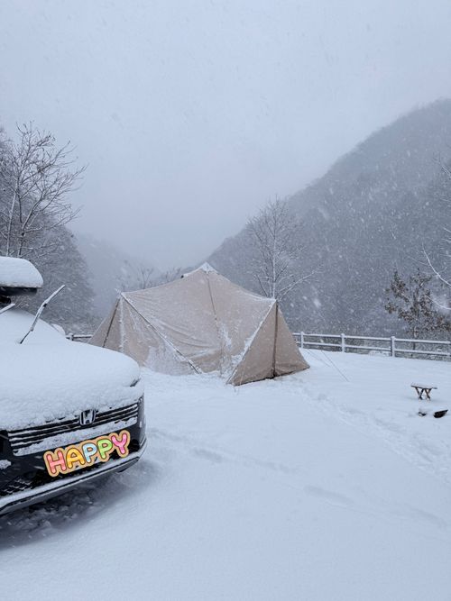 妻の読みは素晴らしい！友人家族と2026年キャンプ初め♪ 鮎の里公園キャンプ場 ファミリーキャンプ グループキャンプ 区画サイト Como_outdoorさんのキャンプブログ CAMPiii（キャンピー） -キャンプ専用SNS キャンプのすべてがここに集まる-