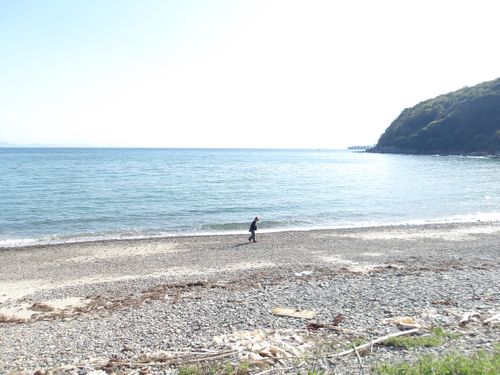 キャンプでメンタルトレーニング💪 はやぷささんのキャンプブログ CAMPiii（キャンピー） -キャンプ専用SNS キャンプのすべてがここに集まる-