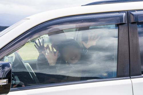 1年ぶりのふもとっぱら ふもとっぱらキャンプ場 ソロキャンプ グループキャンプ フリーサイト オートサイト ちあさんのキャンプブログ CAMPiii（キャンピー） -キャンプ専用SNS キャンプのすべてがここに集まる-