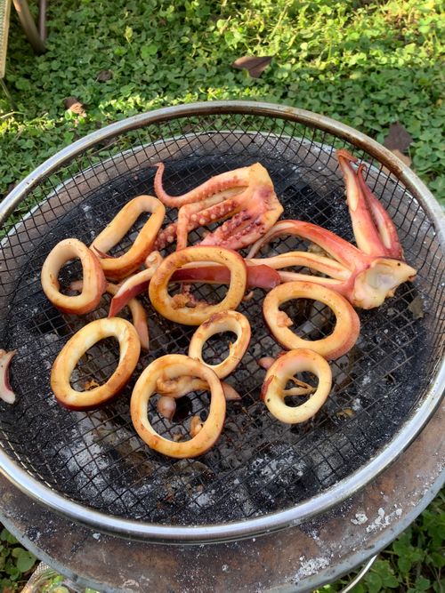 Vol.106 25/NO.25 坂戸にお肉焼きに行く‼️ 坂戸市 ソロキャンプ フリーサイト 🔥焚き火🔥さんのキャンプブログ CAMPiii(キャンピー) -キャンプ専用SNS キャンプのすべてがここに集まる-