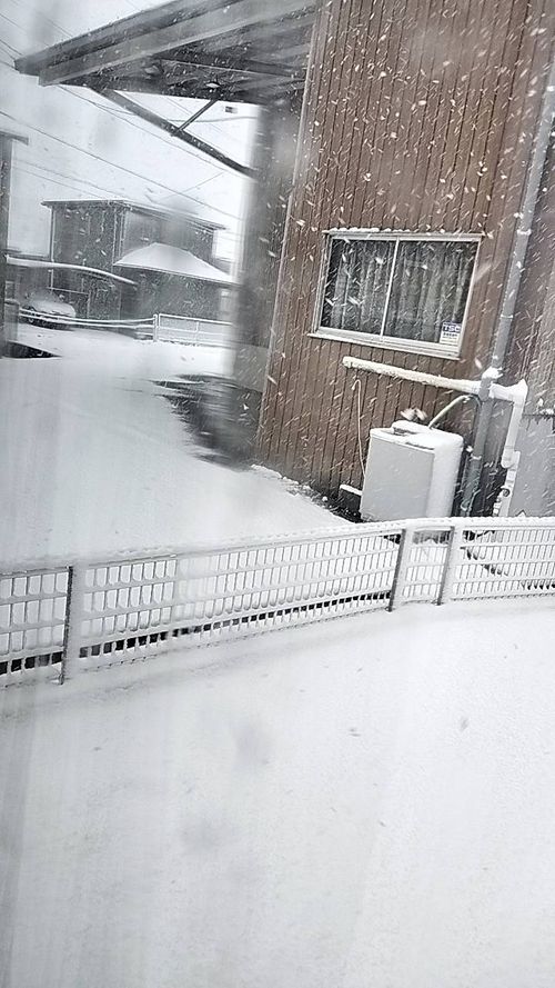 2026年キャンプ初めは浜キャン 浜オートキャンプ場 ソロキャンプ グループキャンプ 区画サイト たかたかぽんたさんのキャンプブログ CAMPiii（キャンピー） -キャンプ専用SNS キャンプのすべてがここに集まる-