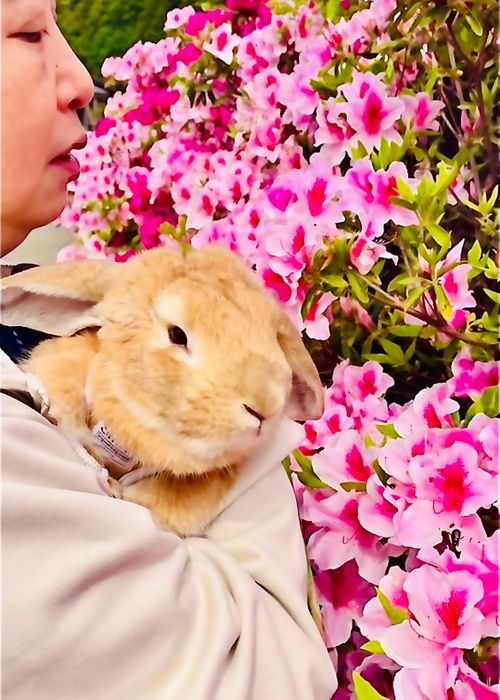 結局なぁ〜んも出来なかった悪天候おじおばうさキャン△ in 田万川キャンプ場 〜 CAMP NO.187 田万川キャンプ場 ファミリーキャンプ グループキャンプ フリーサイト おじキャン△さんのキャンプブログ CAMPiii（キャンピー） -キャンプ専用SNS キャンプのすべてがここに集まる-