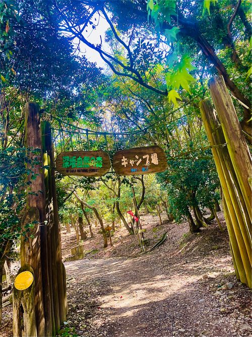 桜🌸を諦めきれないおばちゃんの付き添いおじおばうさキャン△ in 深坂自然の森キャンプ場 〜 CAMP NO.184 深坂自然の森キャンプ場 ファミリーキャンプ グループキャンプ 区画サイト おじキャン△さんのキャンプブログ CAMPiii（キャンピー） -キャンプ専用SNS キャンプのすべてがここに集まる-