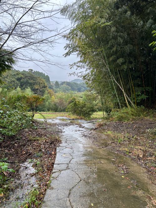 修行Camp REWILD MUSIC FES CAMP(リワイルドミュージックフェスキャンプ) ｜千葉・勝浦で音楽キャンプ＆グランピング グループキャンプ ファミリーキャンプ 区画サイト つばぱさんのキャンプブログ CAMPiii（キャンピー） -キャンプ専用SNS キャンプのすべてがここに集まる-