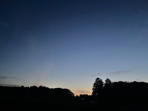 一粒で2度おいしい・・的な？ 楽々GARDEN ソロキャンプ フリーサイト FUNEさんのキャンプブログ CAMPiii（キャンピー） -キャンプ専用SNS キャンプのすべてがここに集まる-