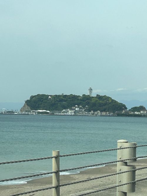 久しぶりのソロキャンプ🏕️ 道志の森キャンプ場 ソロキャンプ フリーサイト Genさんのキャンプブログ CAMPiii（キャンピー） -キャンプ専用SNS キャンプのすべてがここに集まる-