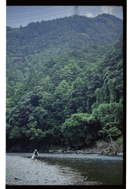 真夏の川でデイキャンプ Ogawa. Camp Field グループキャンプ フリーサイト オートサイト ちあさんのキャンプブログ CAMPiii（キャンピー） -キャンプ専用SNS キャンプのすべてがここに集まる-