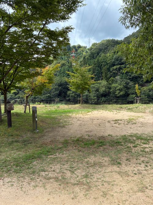 2026年11回目、恒例の川遊びキャン🛶 江の川カヌー公園さくぎ ファミリーキャンプ 区画サイト オートサイト わいげさんのキャンプブログ CAMPiii（キャンピー） -キャンプ専用SNS キャンプのすべてがここに集まる-