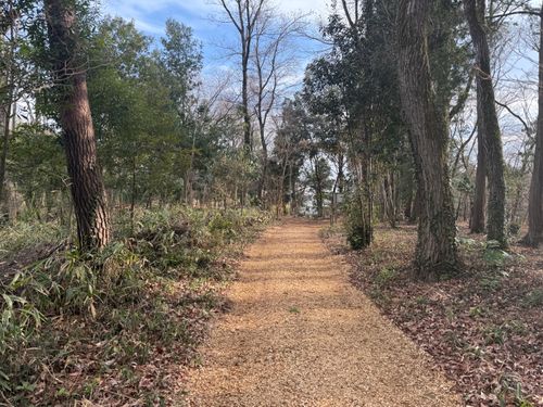 東京一の高企画キャンプ場？CalmbaseTokyoへ CalmbaseTOKYO ソロキャンプ 区画サイト はすさんのキャンプブログ CAMPiii（キャンピー） -キャンプ専用SNS キャンプのすべてがここに集まる-