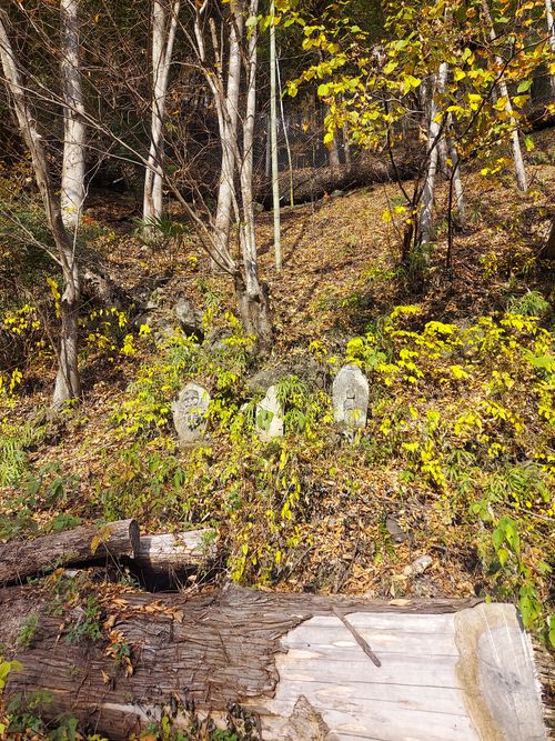 鹿岳辺りの紅葉🍁 One and…Nanmoku Another BASE ソロキャンプ 区画サイト ひろ16さんのキャンプブログ CAMPiii（キャンピー） -キャンプ専用SNS キャンプのすべてがここに集まる-