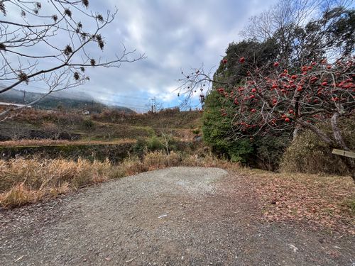 今年もお世話になりました！来年もたくさん遊んでくれぶーん！！ KAWAI VILLAGE CAMP ソロキャンプ 区画サイト とのさんのキャンプブログ CAMPiii（キャンピー） -キャンプ専用SNS キャンプのすべてがここに集まる-