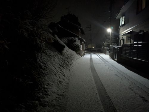 ここは、処！？ 笠置キャンプ場 ソロキャンプ グループキャンプ フリーサイト ぞのさんさんのキャンプブログ CAMPiii（キャンピー） -キャンプ専用SNS キャンプのすべてがここに集まる-