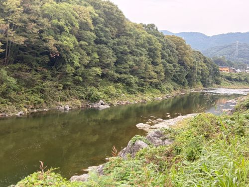 スーツケースキャンプ…どこでも行けるための練習をしよう! 長瀞キャンプヴィレッジ ソロキャンプ 区画サイト ぷりんさんのキャンプブログ CAMPiii(キャンピー) -キャンプ専用SNS キャンプのすべてがここに集まる-