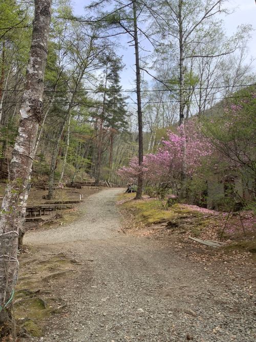 Vol.115 26/NO.05 今年も早速再開初日にお肉焼き焼きに行く‼️ 笛吹小屋キャンプ場 ソロキャンプ 区画サイト 🔥焚き火🔥さんのキャンプブログ CAMPiii（キャンピー） -キャンプ専用SNS キャンプのすべてがここに集まる-