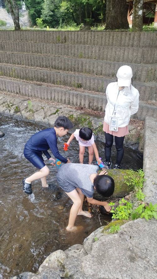 ほう　ほう　ほたるこい🎵久し振りのホタルキャンプ🏕️ ソロキャンプ ファミリーキャンプ グループキャンプ 区画サイト オートサイト ヒゲキャンさんのキャンプブログ CAMPiii（キャンピー） -キャンプ専用SNS キャンプのすべてがここに集まる-