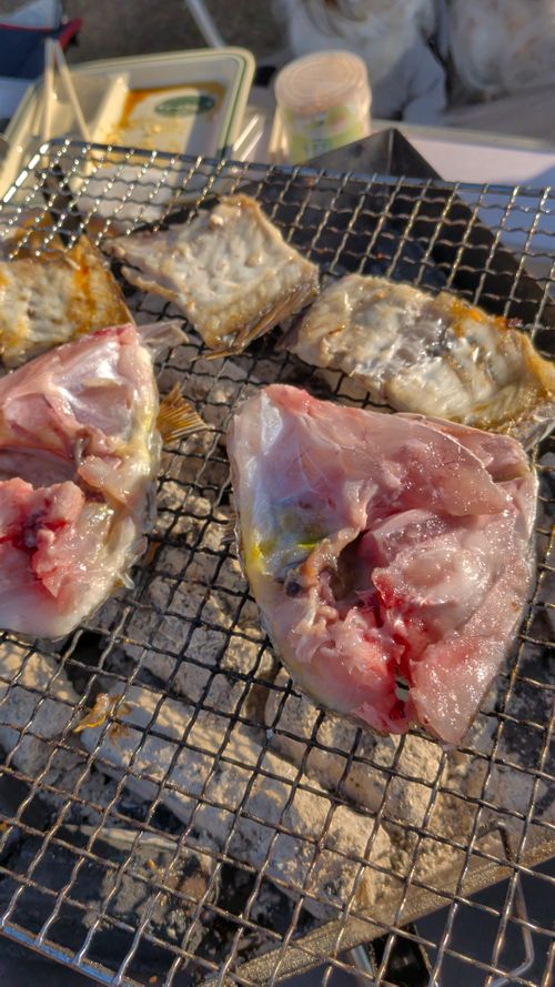 ハスラーが気になる(標高 約150m)(RVパーク(区画、電源付) 3000円)) RVパーク 七里川 ソロキャンプ グループキャンプ オートサイト 区画サイト IZUIZUさんのキャンプブログ CAMPiii（キャンピー） -キャンプ専用SNS キャンプのすべてがここに集まる-